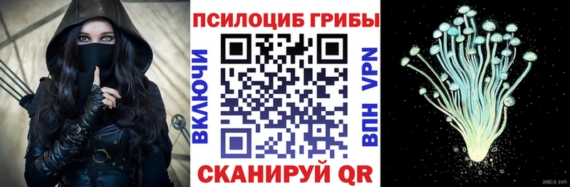 мега как войти  где можно купить наркотик  Грязовец  Псилоцибиновые грибы мухоморы 