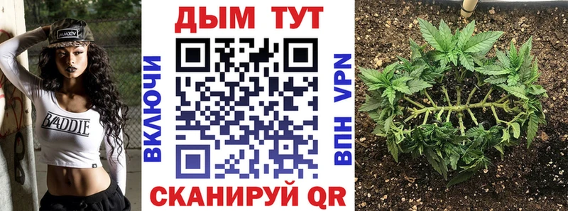 Марихуана SATIVA & INDICA Грязовец
