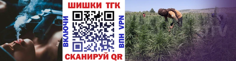 Каннабис сатива Грязовец